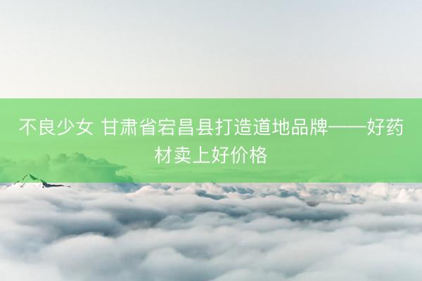 不良少女 甘肃省宕昌县打造道地品牌——好药材卖上好价格