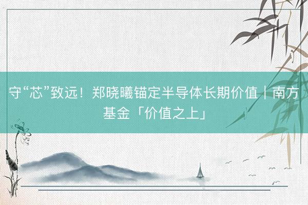 守“芯”致远！郑晓曦锚定半导体长期价值｜南方基金「价值之上」