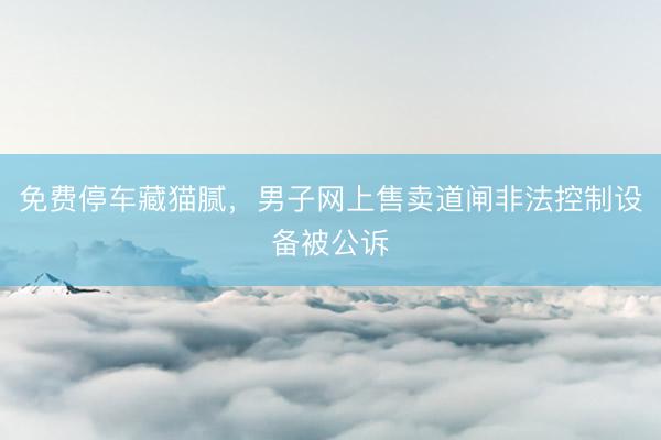 免费停车藏猫腻，男子网上售卖道闸非法控制设备被公诉