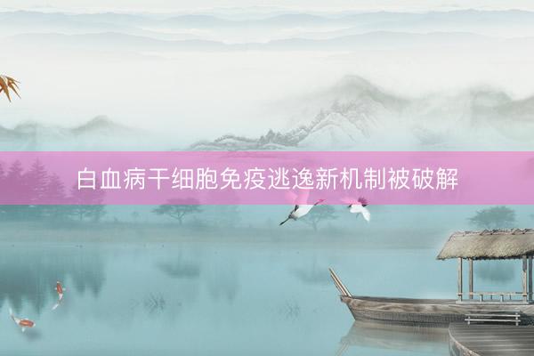 白血病干细胞免疫逃逸新机制被破解