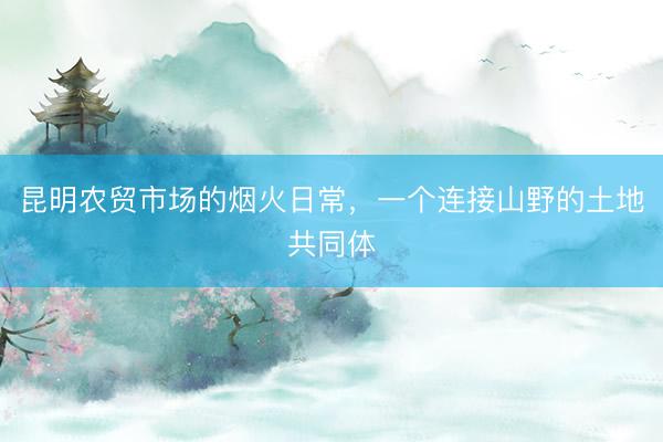 昆明农贸市场的烟火日常，一个连接山野的土地共同体