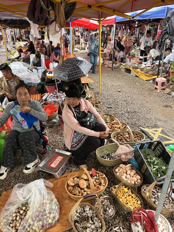 离昆明半个小时车程的乡街子太平哨位于苗族聚居区，是最为传统的集市。半夏寻访那天下着雨，但山民依旧拎着菌子来赶集。  摄影/半夏