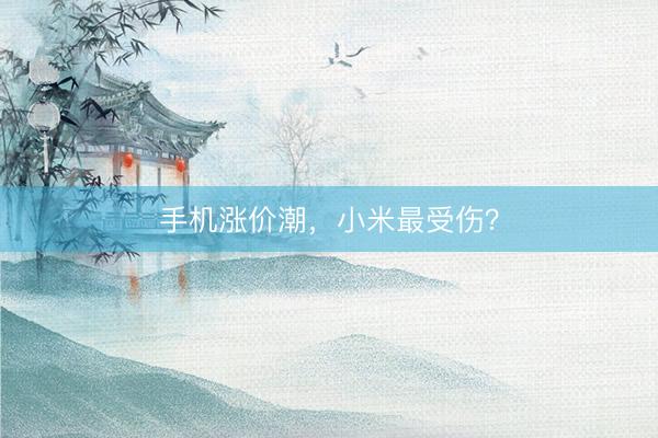 手机涨价潮，小米最受伤？