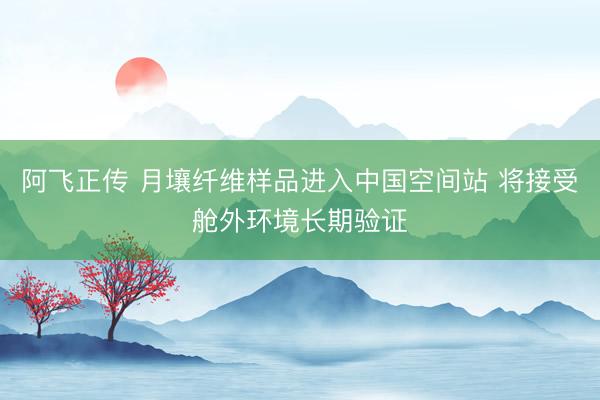 阿飞正传 月壤纤维样品进入中国空间站 将接受舱外环境长期验证