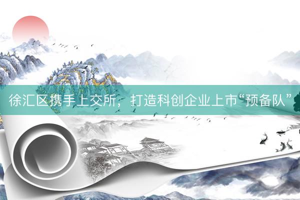 徐汇区携手上交所,打造科创企业上市“预备队”