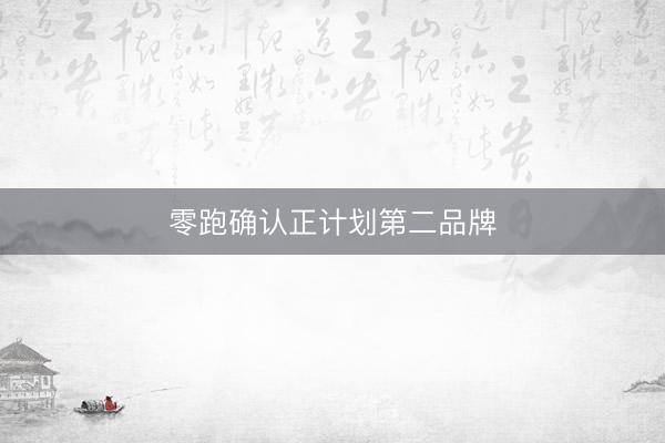 零跑确认正计划第二品牌