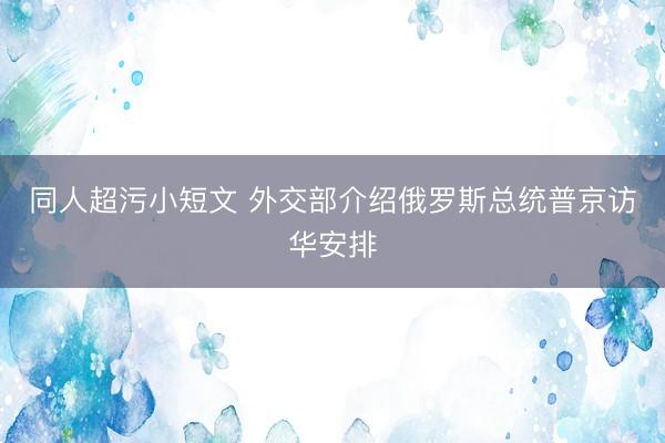 同人超污小短文 外交部介绍俄罗斯总统普京访华安排
