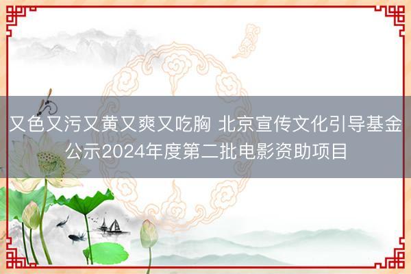 又色又污又黄又爽又吃胸 北京宣传文化引导基金公示2024年度第二批电影资助项目