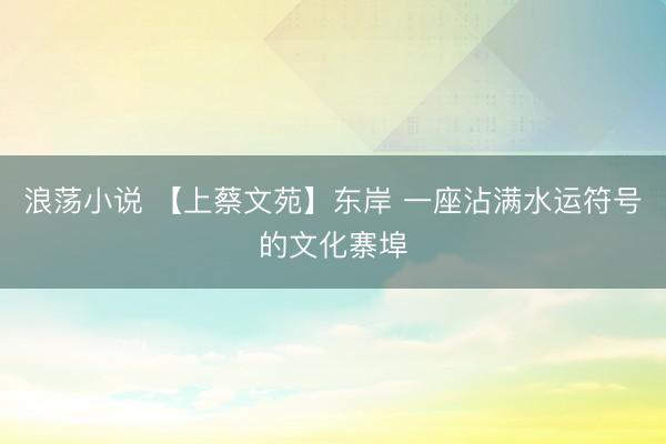 浪荡小说 【上蔡文苑】东岸 一座沾满水运符号的文化寨埠
