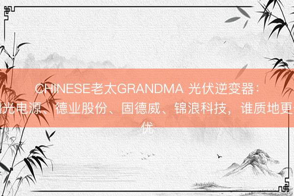CHINESE老太GRANDMA 光伏逆变器：阳光电源、德业股份、固德威、锦浪科技，谁质地更优