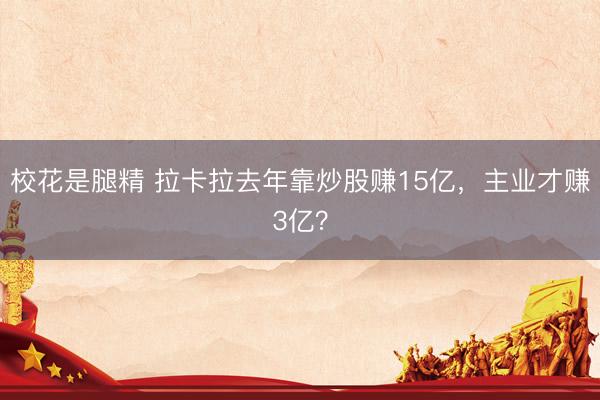 校花是腿精 拉卡拉去年靠炒股赚15亿，主业才赚3亿？