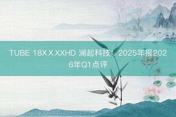 TUBE 18XⅩXXHD 澜起科技：2025年报2026年Q1点评