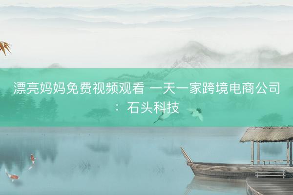 漂亮妈妈免费视频观看 一天一家跨境电商公司：石头科技