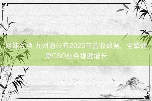 姐妹互换 九州通公布2025年营收数据，全擎健康CSO业务稳健增长