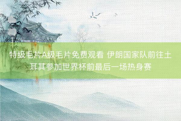 特级毛片A级毛片免费观看 伊朗国家队前往土耳其参加世界杯前最后一场热身赛
