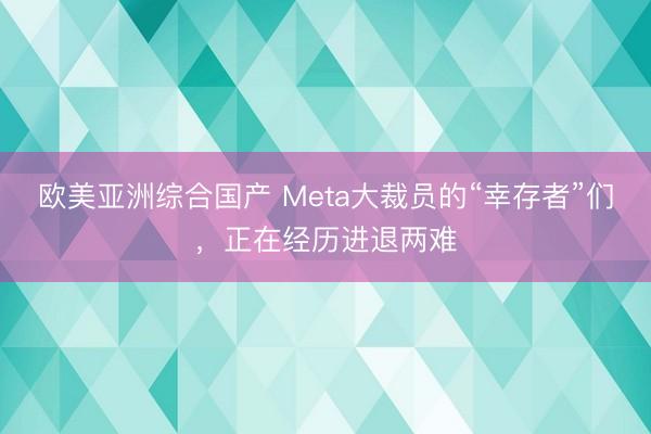 欧美亚洲综合国产 Meta大裁员的“幸存者”们,正在经历进退两难