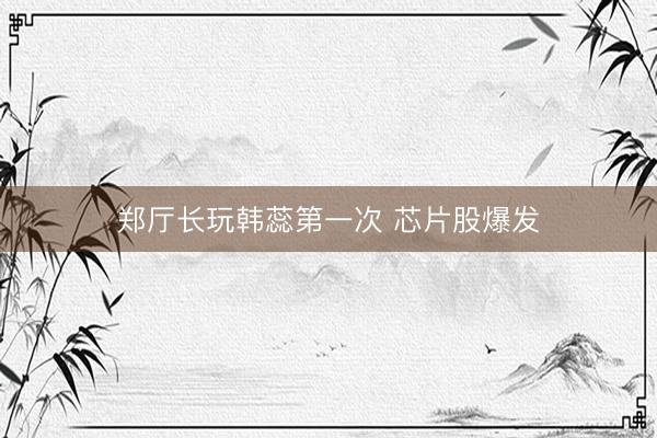 郑厅长玩韩蕊第一次 芯片股爆发