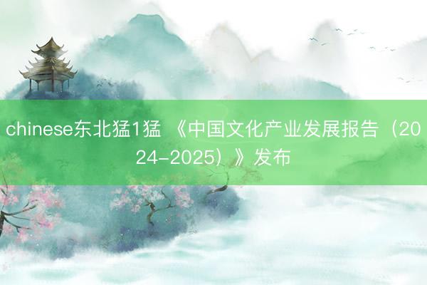 chinese东北猛1猛 《中国文化产业发展报告（2024-2025）》发布