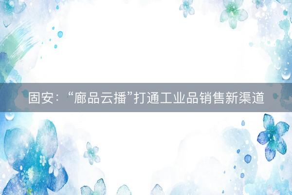 固安：“廊品云播”打通工业品销售新渠道