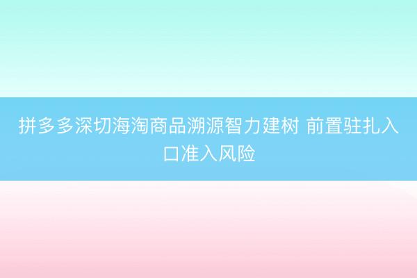 拼多多深切海淘商品溯源智力建树 前置驻扎入口准入风险