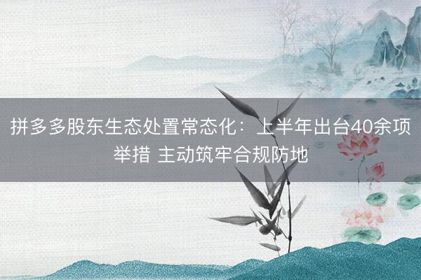 拼多多股东生态处置常态化：上半年出台40余项举措 主动筑牢合规防地