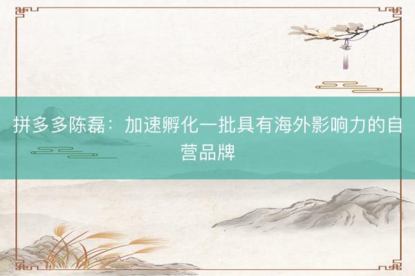 拼多多陈磊：加速孵化一批具有海外影响力的自营品牌