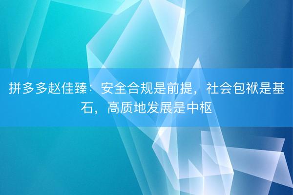 拼多多赵佳臻：安全合规是前提，社会包袱是基石，高质地发展是中枢