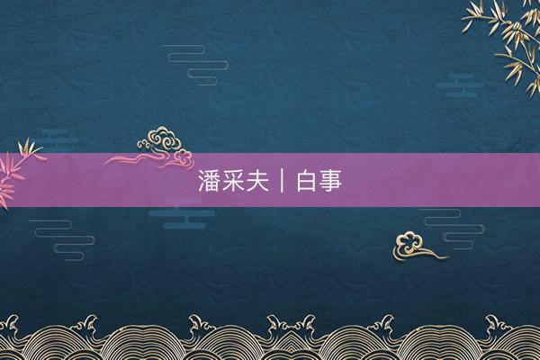 潘采夫|白事
