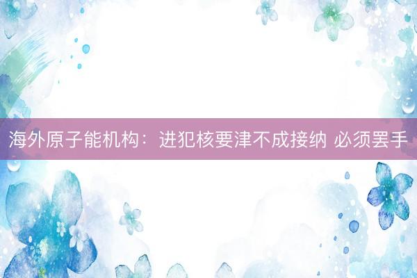 海外原子能机构：进犯核要津不成接纳 必须罢手