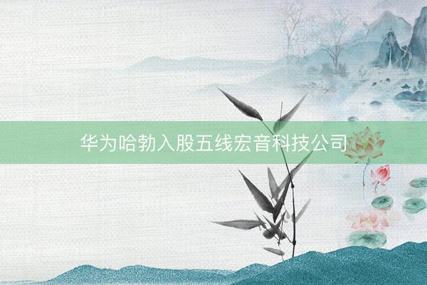 华为哈勃入股五线宏音科技公司