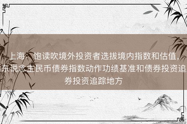 上海：饱读吹境外投资者选拔境内指数和估值，以境内东说念主民币债券指数动作功绩基准和债券投资追踪地方