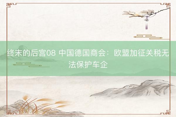 终末的后宫08 中国德国商会：欧盟加征关税无法保护车企