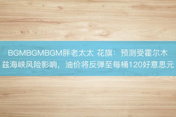 BGMBGMBGM胖老太太 花旗：预测受霍尔木兹海峡风险影响，油价将反弹至每桶120好意思元