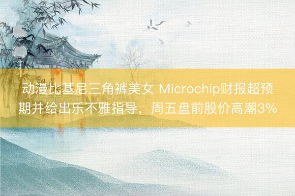 动漫比基尼三角裤美女 Microchip财报超预期并给出乐不雅指导，周五盘前股价高潮3%