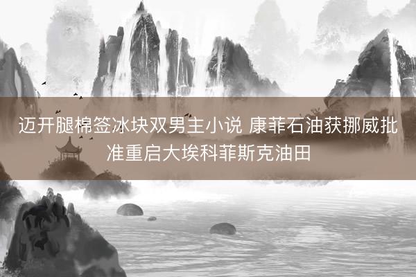 迈开腿棉签冰块双男主小说 康菲石油获挪威批准重启大埃科菲斯克油田