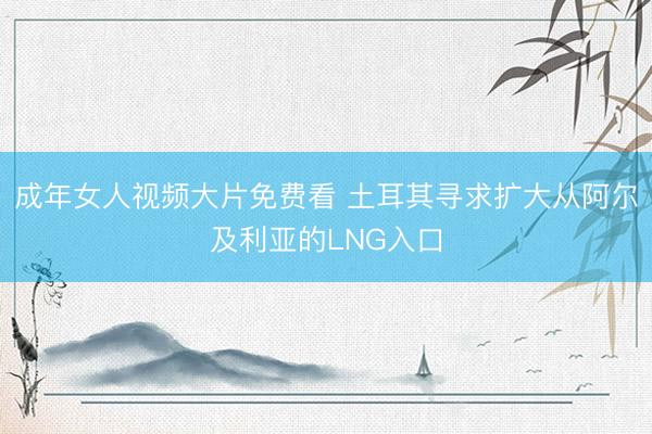 成年女人视频大片免费看 土耳其寻求扩大从阿尔及利亚的LNG入口