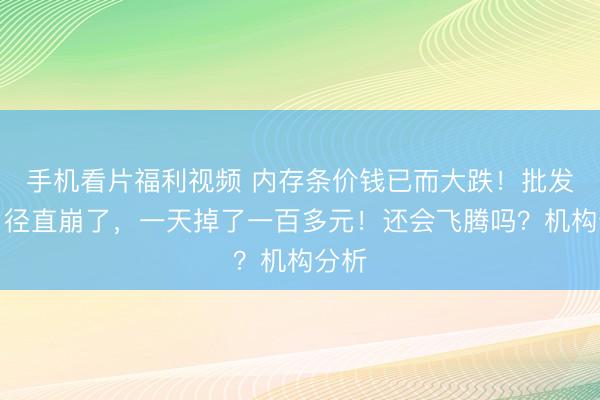 手机看片福利视频 内存条价钱已而大跌！批发商：径直崩了，一天掉了一百多元！还会飞腾吗？机构分析