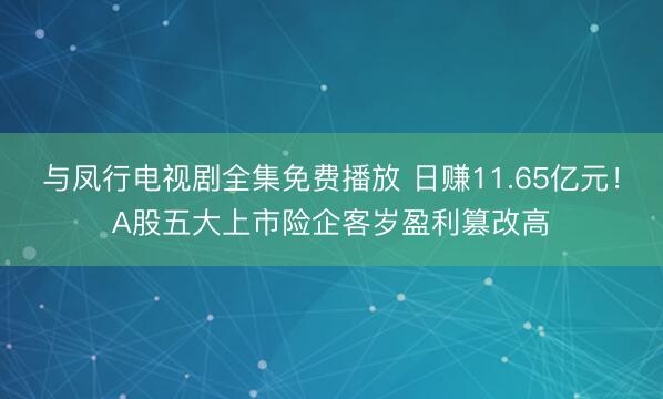 与凤行电视剧全集免费播放 日赚11.65亿元！A股五大上市险企客岁盈利篡改高