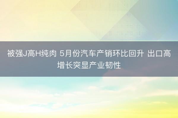被强J高H纯肉 5月份汽车产销环比回升 出口高增长突显产业韧性