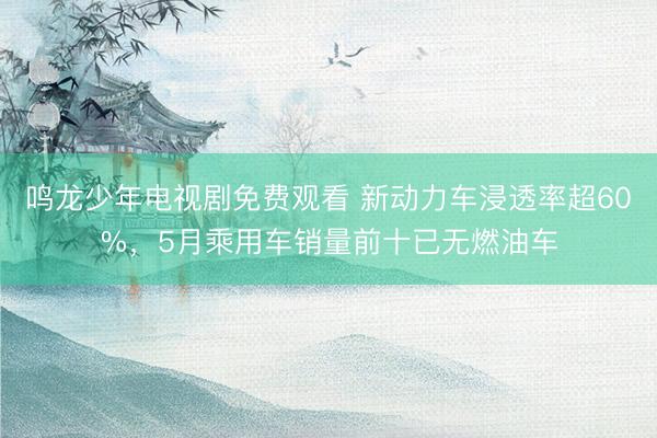 鸣龙少年电视剧免费观看 新动力车浸透率超60%，5月乘用车销量前十已无燃油车