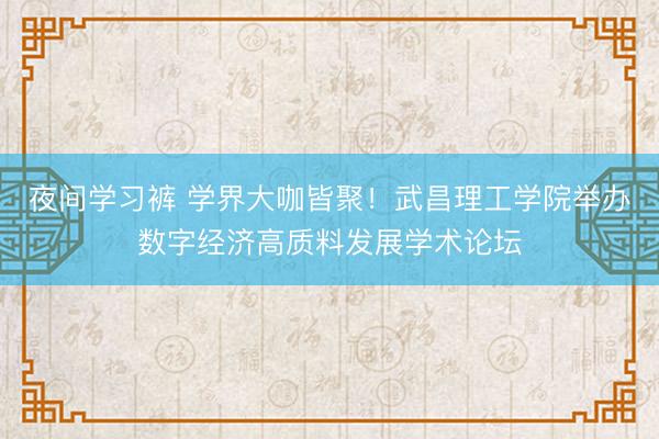 夜间学习裤 学界大咖皆聚！武昌理工学院举办数字经济高质料发展学术论坛