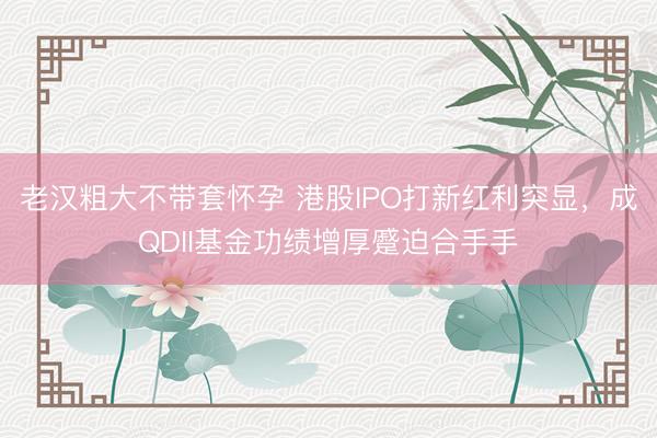 老汉粗大不带套怀孕 港股IPO打新红利突显，成QDII基金功绩增厚蹙迫合手手
