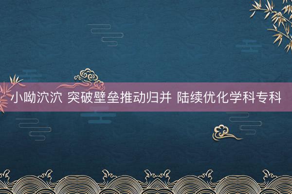 小呦泬泬 突破壁垒推动归并 陆续优化学科专科