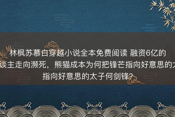 林枫苏慕白穿越小说全本免费阅读 融资6亿的盈合机器东谈主走向濒死，熊猫成本为何把锋芒指向好意思的太子何剑锋？