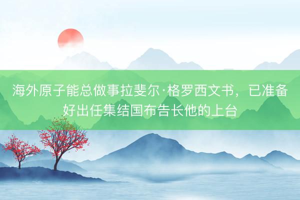 海外原子能总做事拉斐尔·格罗西文书，已准备好出任集结国布告长他的上台
