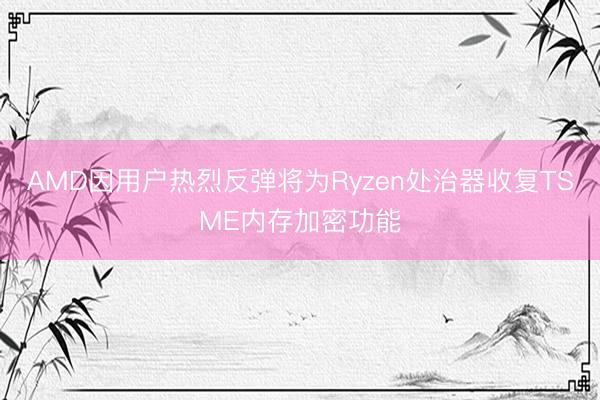 AMD因用户热烈反弹将为Ryzen处治器收复TSME内存加密功能