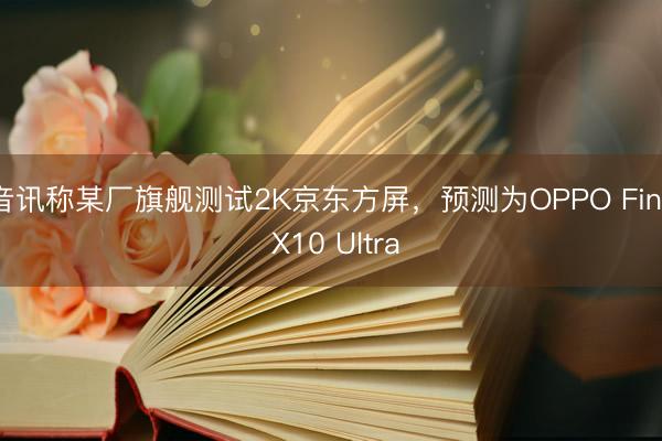 音讯称某厂旗舰测试2K京东方屏，预测为OPPO Find X10 Ultra